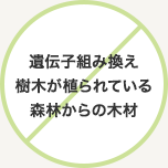 遺伝子組み換え樹木が植られている森林からの木材